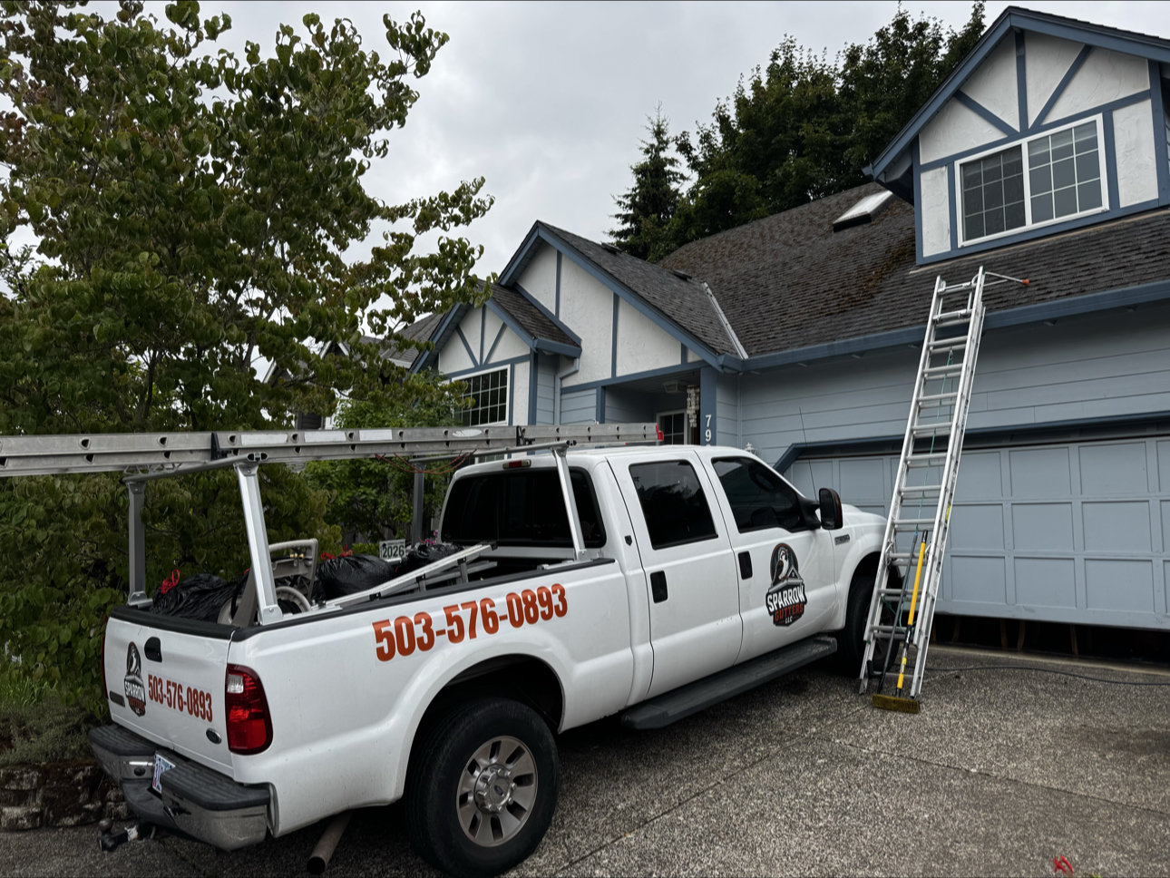 Sparrow Gutters truck and ladder set up at a job site cleaning a mossy roof