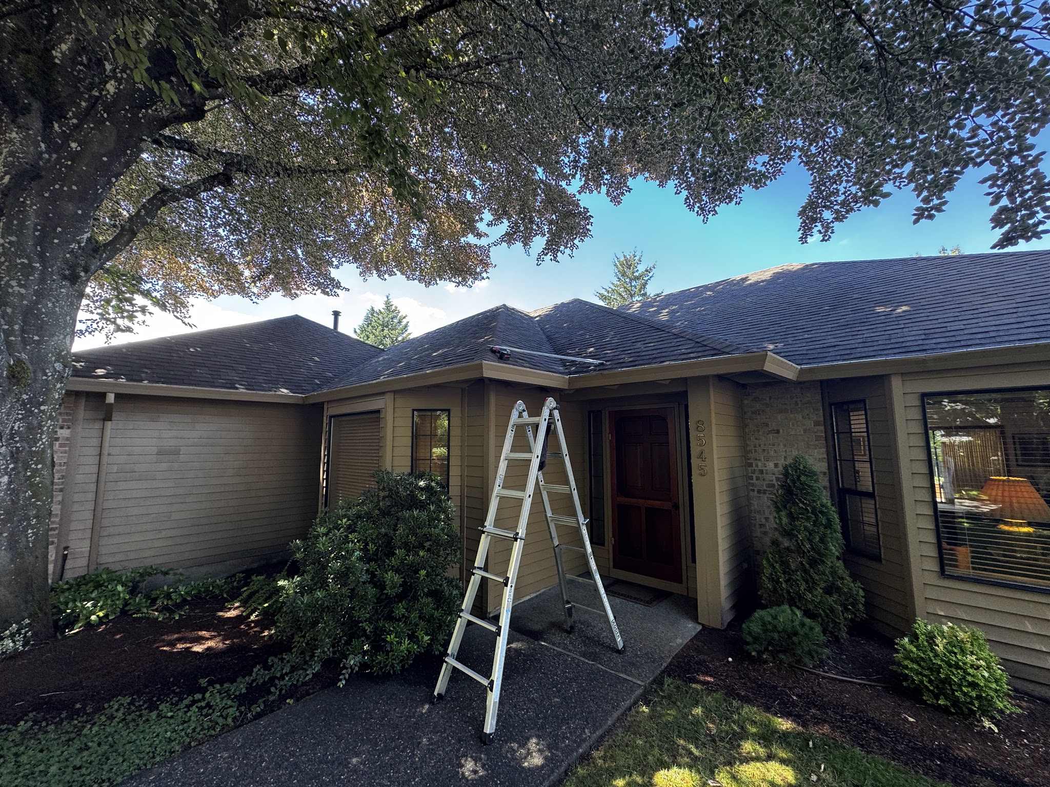Ladder set up against a house for gutter cleaning by Sparrow Gutters