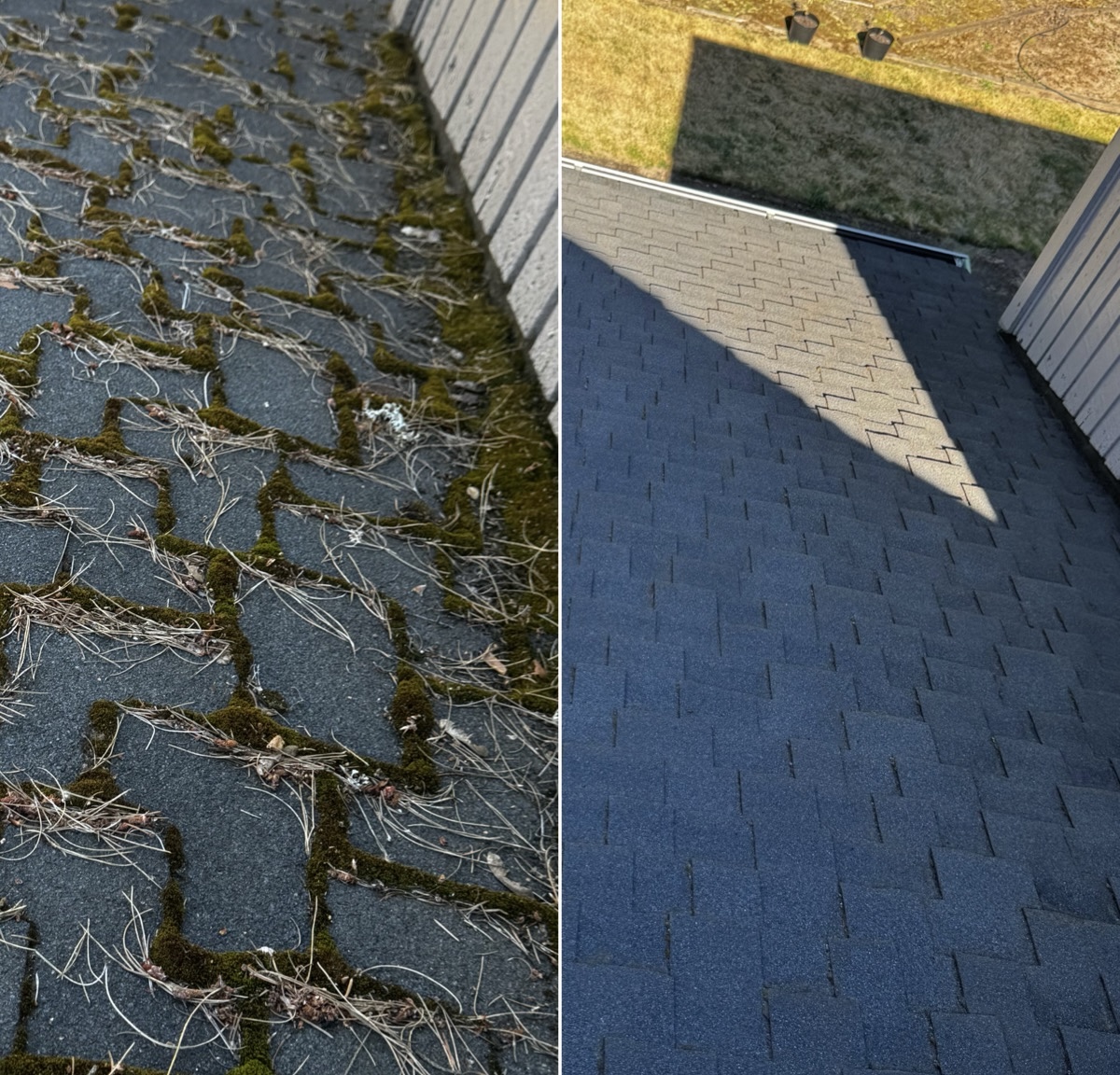 Before and after photo of a roof cleared of moss and pine needle buildup by Sparrow Gutters
